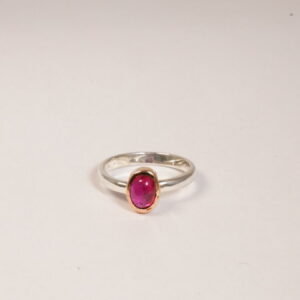 Anello in argento e bronzo