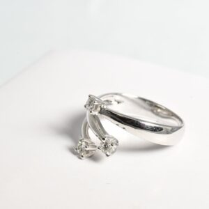 Anello trilogy fantasia